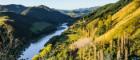 View over the Whanganui River in the lush green