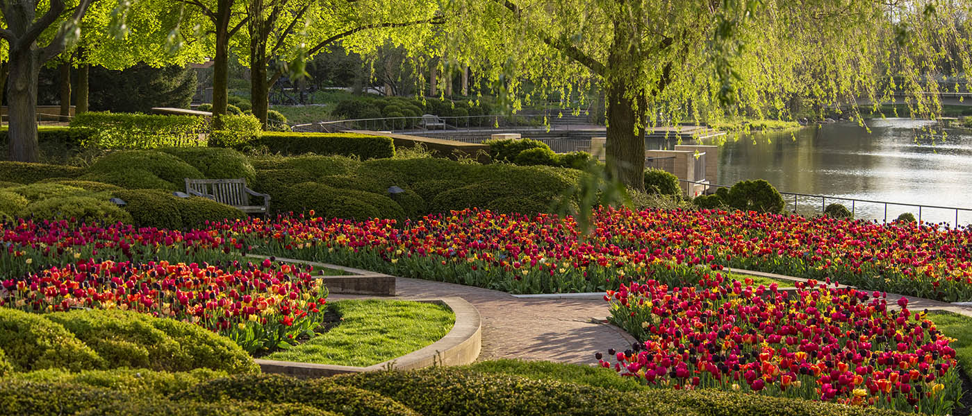 Chicago Botanic Garden flowerbeds