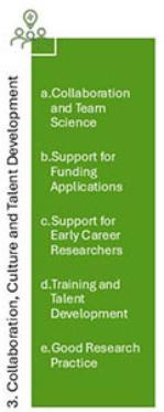 Collaboration, Culture, and Talent Develpment