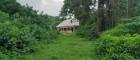 Pathway through undergrowth to dwelling in Nigeria