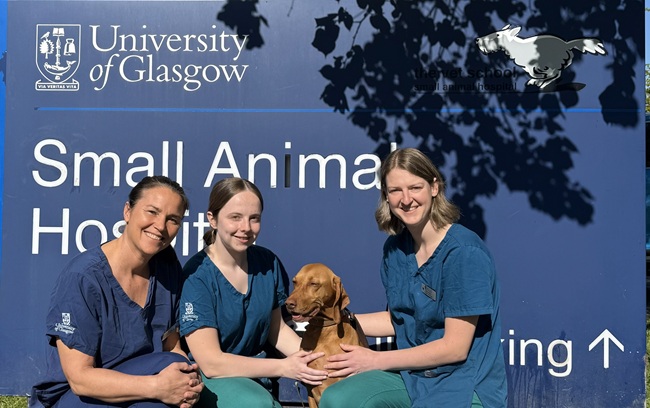 From left to right: Professor Ana Rostaher and student vet nurses Rebecca Hattie and Kerry Burns, with Amber the dog outside the University of Glasgow Small Animal Hospital From left to right: Professor Ana Rostaher and student vet nurses Rebecca Hattie and Kerry Burns, with Amber the dog outside the University of Glasgow Small Animal Hospital