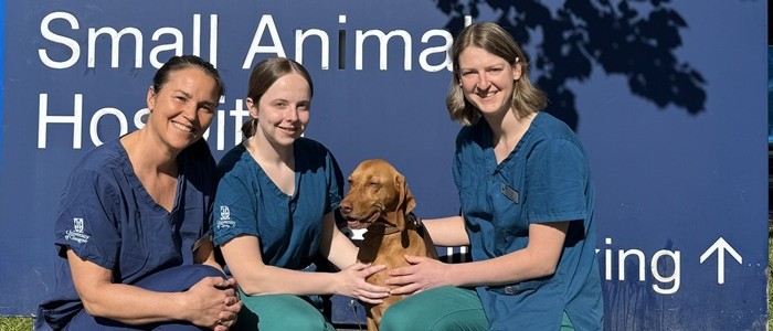 From left to right: Professor Ana Rostaher and student vet nurses Rebecca Hattie and Kerry Burns, with Amber the dog outside the University of Glasgow Small Animal Hospital