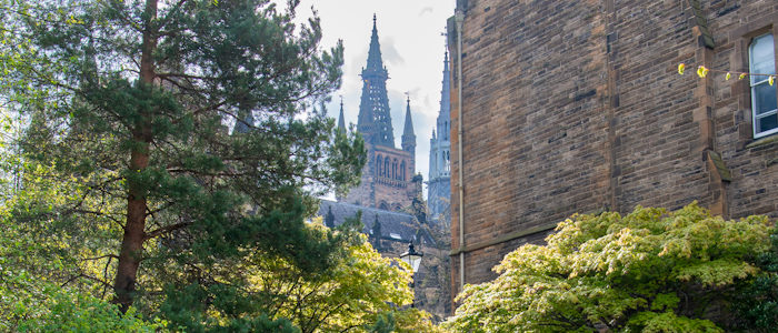 View of the tower from Professors' Walk