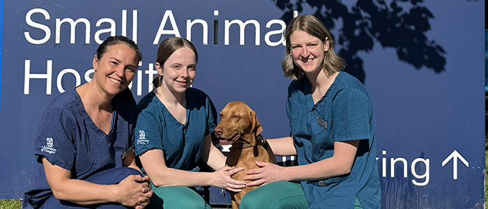 Ana Rostaher with two student vets and Amber the dog