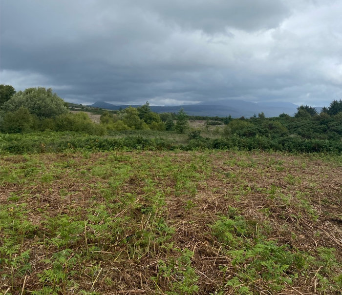 Cursus in the foreground with Drumadoon estate landscape behind