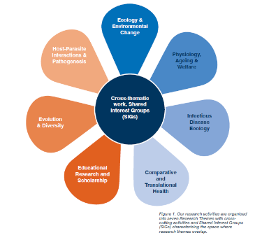 Colourful, circular visual representation of our 7 Shared Interest Groups