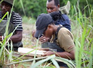 3 Students analysing mosquito traps in long grass