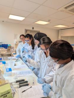 4 students and a demonstrator using micropipettes inside a lab. All are wearing white coats, safety glasses and blue gloves