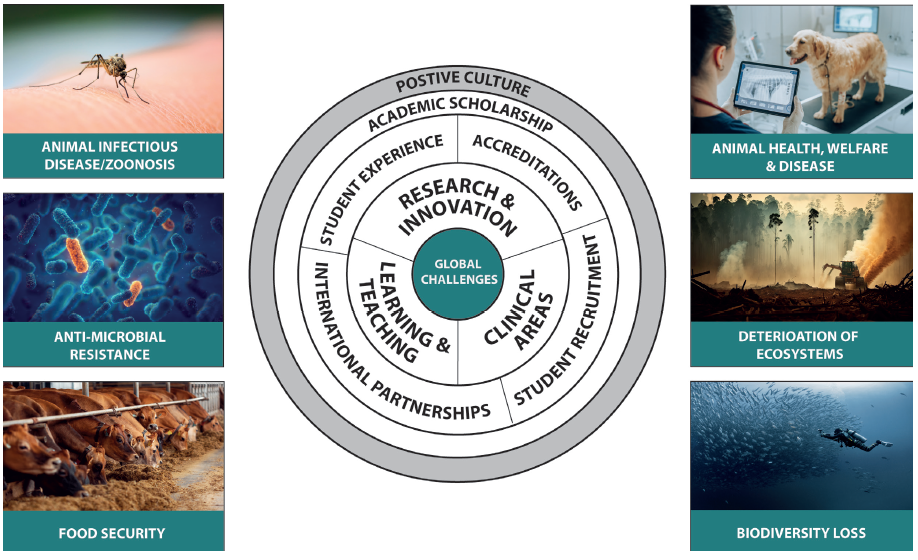Circular graphic incorporating the different areas of the School