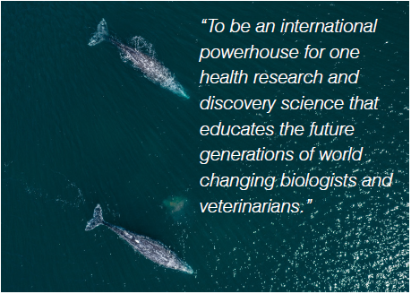 2to be an international powerhouse for one health research and discovery science that educates future generations of world-changing biologists and veterinarians