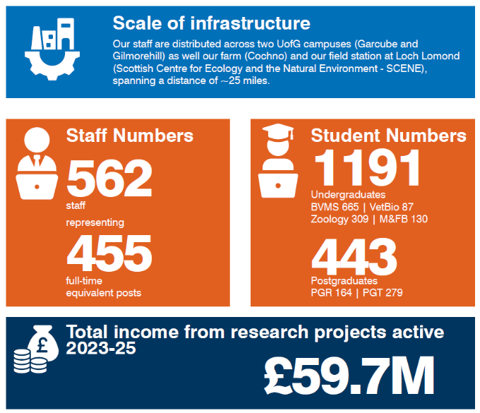 Staff and student numbers