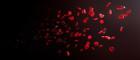 A graphic image of haemoglobin