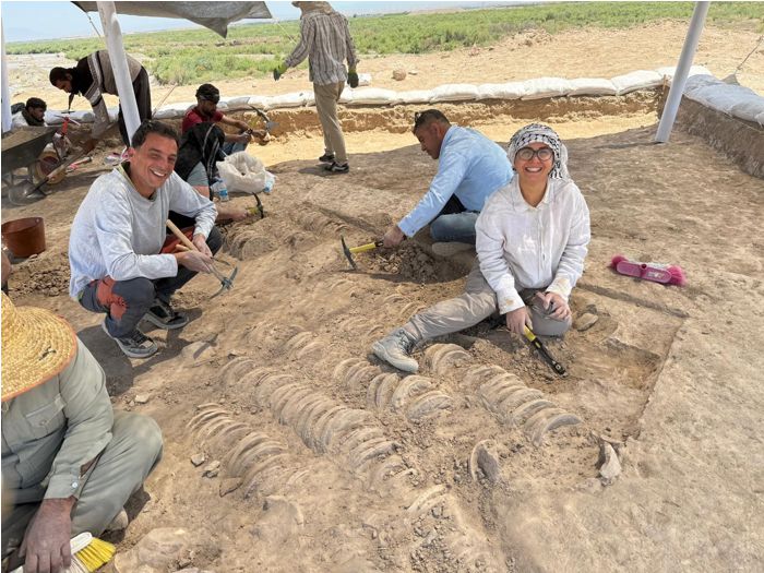 People excavating rows of ceramic bowls