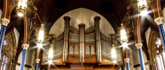 A view from inside Bute hall, looking up at the organ.