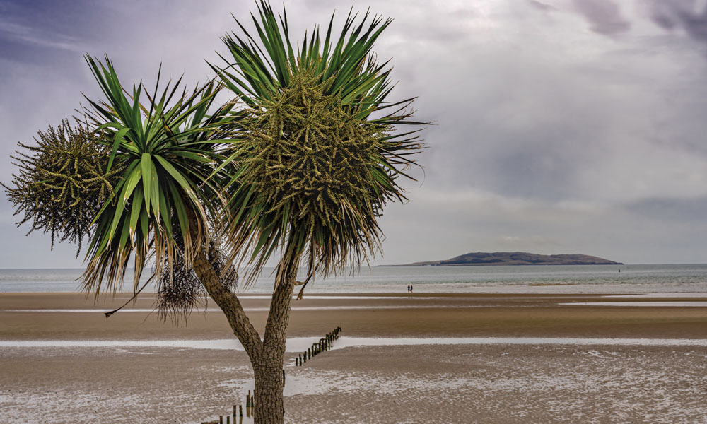 Malahide beach