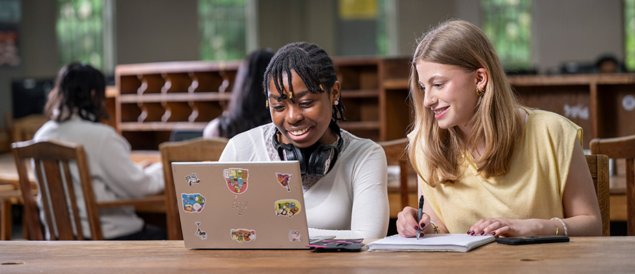 Study in the McMillan Round Reading Room
