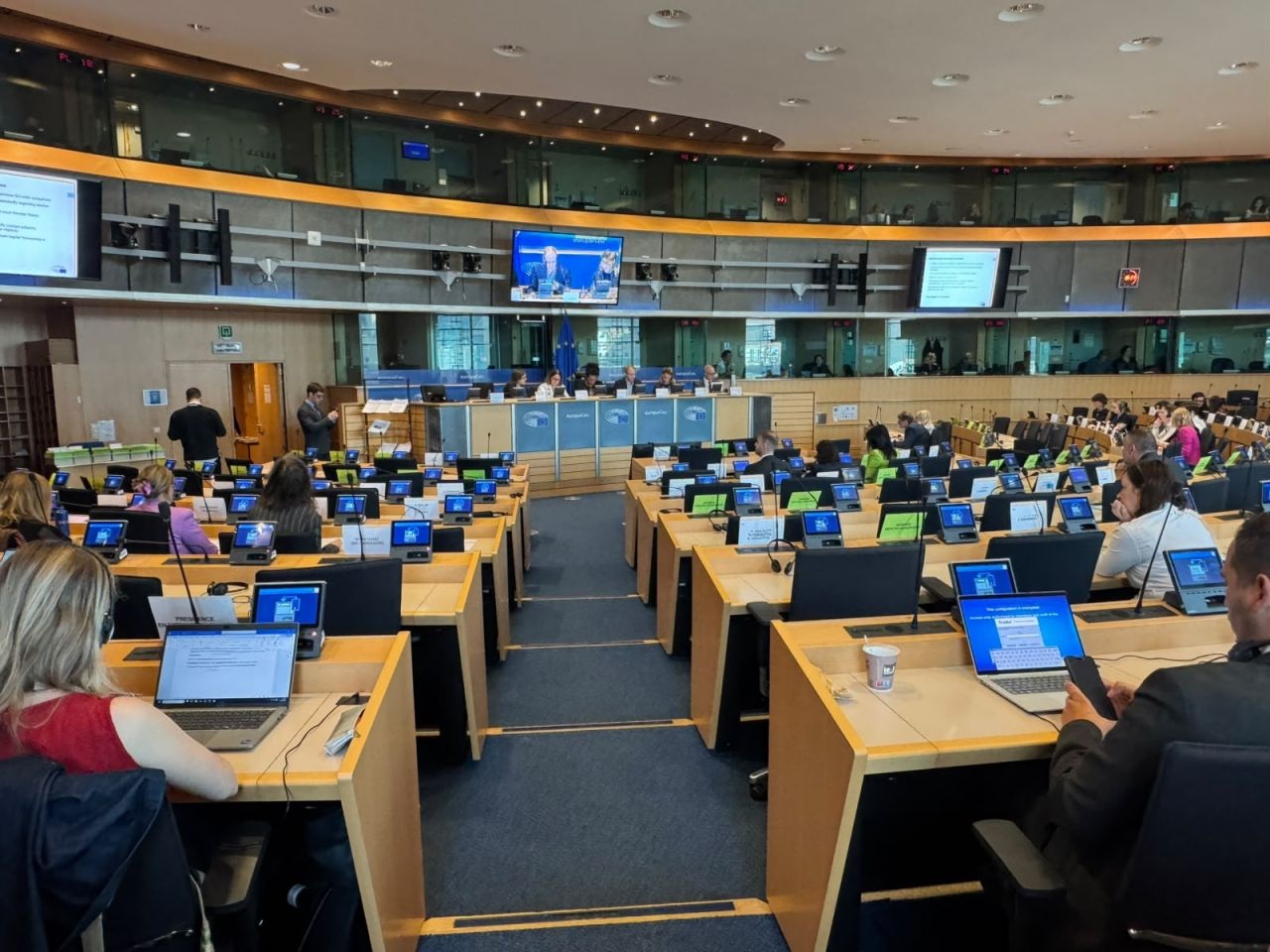 Dr Tore Bernt Sorensen addressing the European Parliament’s Culture and Education Committee