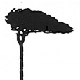 A silouette of a tree