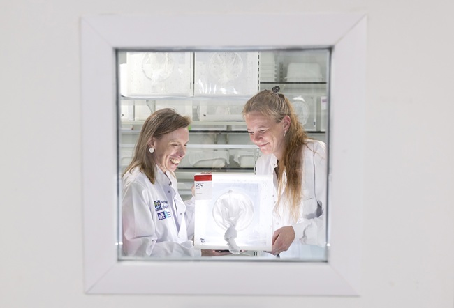Professor Heather Ferguson and Dr Emilie Pondeville in the MRC-University of Glasgow Centre for Virus Research (CVR) insectary. Image credit: University of Glasgow/ Martin Shields Professor Heather Ferguson and Dr Emilie Pondeville inside the MRC-University of Glasgow Centre for Virus Research (CVR) insectary