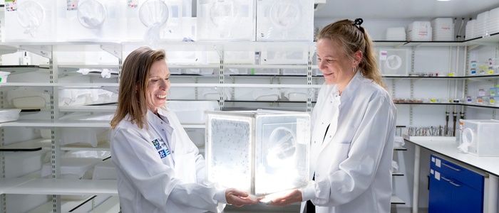 Professor Heather Ferguson and Dr Emilie Pondeville in the MRC-University of Glasgow Centre for Virus Research (CVR) insectary.