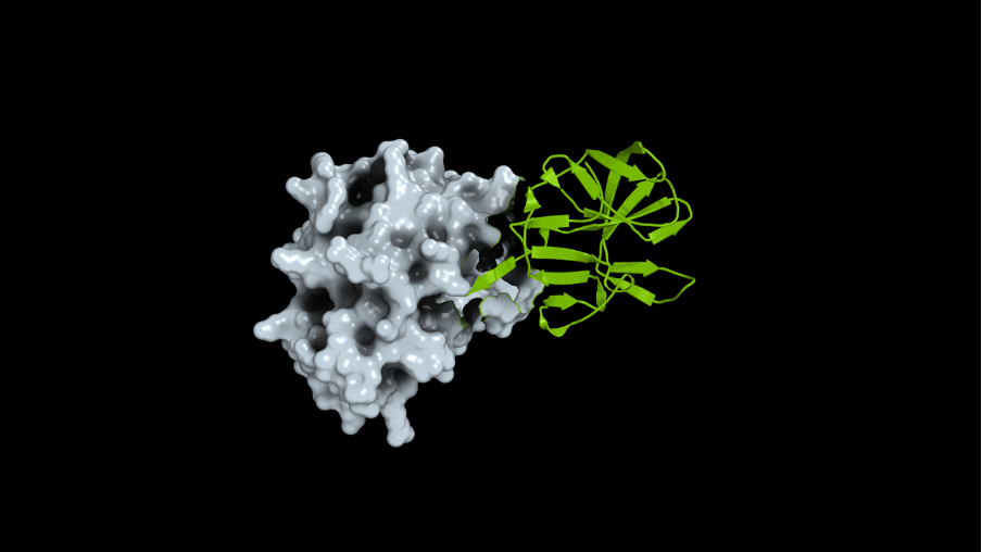 A computer graphic of a viral protein structure