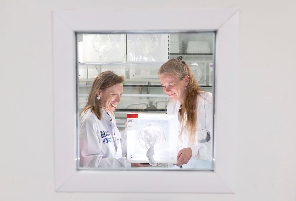 Two researchers in lab coats seen through a lab window, holding a glowing box.