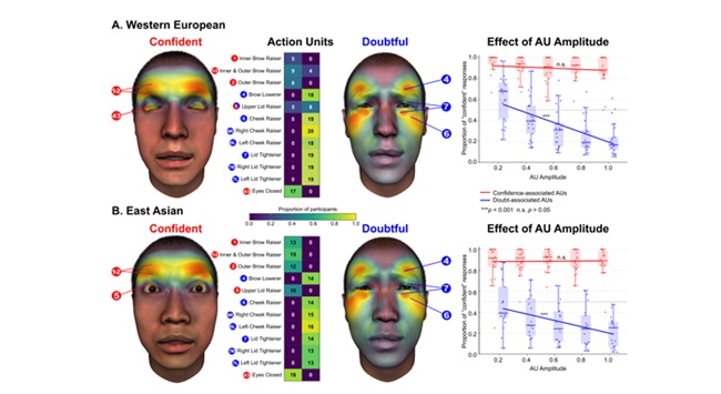 Illustrations of the different generated faces used in the study