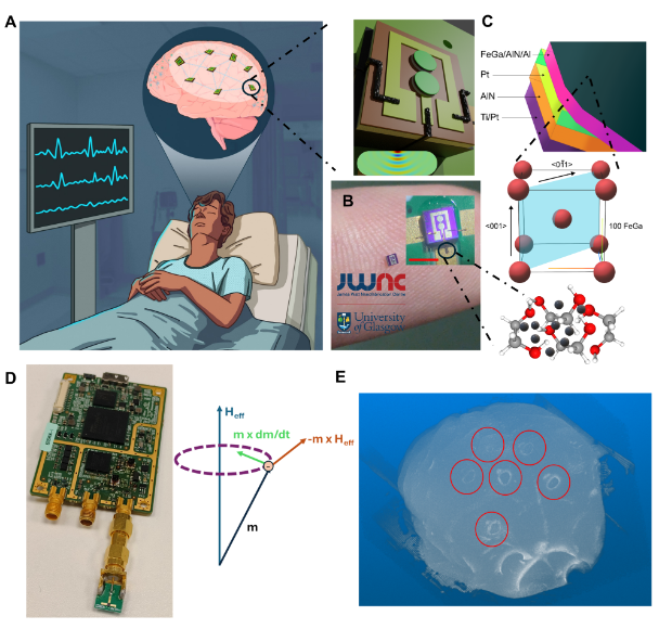 JWNC-enabled magnetoelectric µBot. (A) Bio-integrated telemetry concept. (B) Fingertip-scale antenna, showing device size. (C) Nanofabricated stack made using RF sputtering, co-doping, electron-beam evaporated contacts and thick-resist lift-off (D) Software-defined-radio video telemetry demonstration. (E) 7 T magnetic resonance imaging phantom assessment.