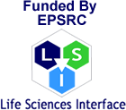 LSI Logo