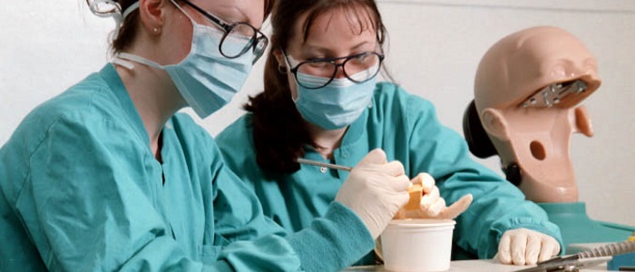 Dental Students in gowns at work on models of teeth