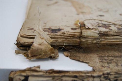 This photograph shows details of the original sewing structure of the bound pages before conservation treatment. (GUAS Ref: UGC 182. Copyright reserved.) 