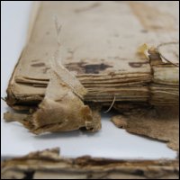 This photograph shows details of the original sewing structure of the bound pages before conservation treatment. (GUAS Ref: UGC 182. Copyright reserved.) 