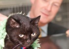 John Swinney with Molly the Cat