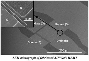 SEM micrograph of fabricated AIN/GaN HEMT