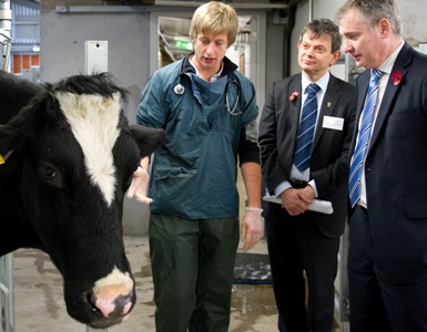 Veterinary student Pete Dillon examines a cow watched by Prof Anton Muscatelli and Richard Lochhead MSP.