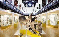 Hunterian interior