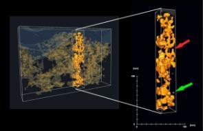 3D reconstruction of a polymer solar cell