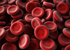 Blood cells 140
