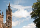 University tower & tree