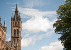 University tower & tree