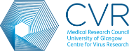 CVR Logo 1