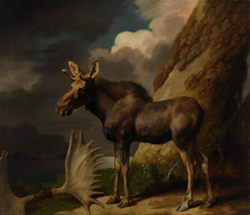 Painting of a moose