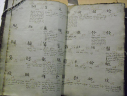 a photograph of an opened manuscript.  Both pages are filled with hand written Chinese characters, each accompanied by a translation in Latin