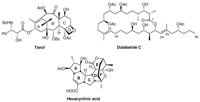 Joelle Prunet - Taxol