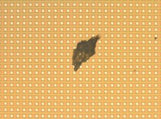 waferparticle