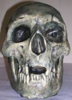 cast of skull of Robert the Bruce
