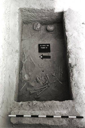 Tomb A1 with bones in situ