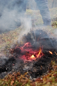 Smouldering peat fire