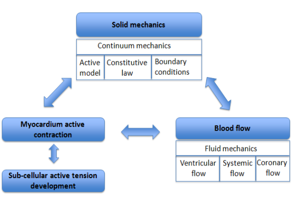 multi-physics_LV