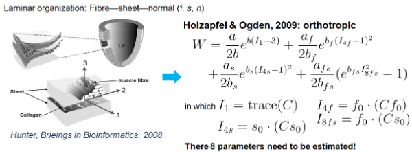 H-O passive model